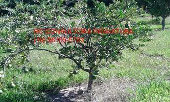 Imagem 5: CHACARA RESIDENCIAL em INDAIATUBA - SP, VALE DAS LARANJEIRAS