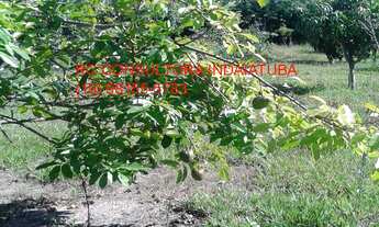 Imagem 4: CHACARA RESIDENCIAL em INDAIATUBA - SP, VALE DAS LARANJEIRAS