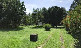 Imagem 7: CHACARA PARA VENDA EM EXCELENTE LOCALIZAÇÃO