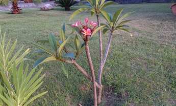 Imagem: MARAVILHOSA CHACARA PARA QUEM BUSCA QUALIDADE