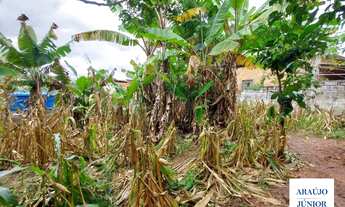 Imagem 6: Duas casas e pomar à venda, 771m² de terreno por R$ 670.000 - Residencial Praia dos Namora