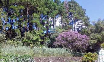 Imagem 7: CHÁCARA COMPLETA PARA VENDA!