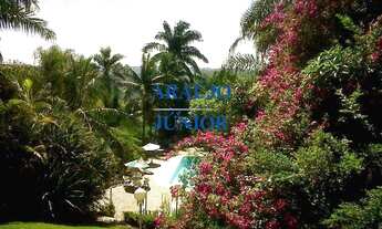 Imagem: CHÁCARA COMPLETA PARA VENDA!