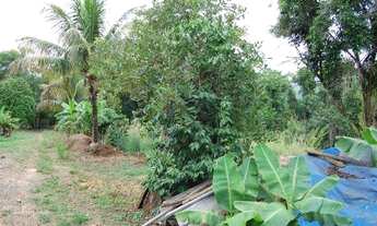 Imagem: Sitio a venda Elias Fausto SP