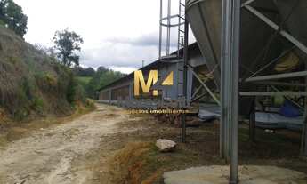 Imagem 7: SITIO INDUSTRIAL em Monte Alegre do Sul - SP, Ribeirao das Limas