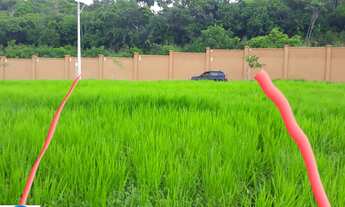 Imagem 2: TERRENO EM ALPHAVILLE 3