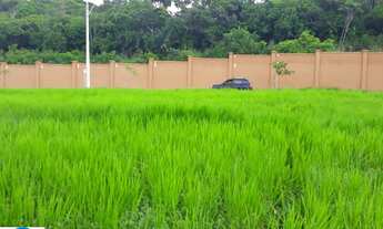 Imagem 3: TERRENO EM ALPHAVILLE 3