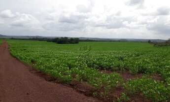Imagem 2: FAZENDA RURAL em DARCINÓPOLIS - TO, RURAL