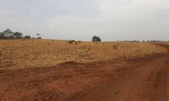 Imagem 7: FAZENDA RURAL em DARCINÓPOLIS - TO, RURAL