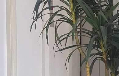 Imagem 6: APARTAMENTO RESIDENCIAL em MANAUS - AM, CENTRO - Edifício Maria Beatriz