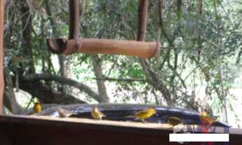 Imagem 2: BELÍSSIMO SÍTIO COM CACHOEIRA À VENDA EM TAUBATÉ - AT /35.400 M², grande potencial para ec