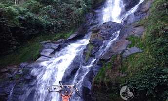 Imagem: BELÍSSIMO SÍTIO COM CACHOEIRA À VENDA