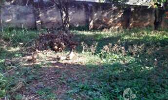 Imagem: VENDO ÓTIMO TERRENO NA AV. SAMUEL MARTINS