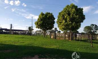 Imagem: Vendo ótima fazenda com 2337,00 ha em Buritizeiro