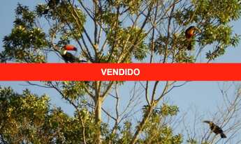 Imagem: Vendo fazenda em São Roque de Minas, serra