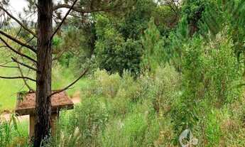 Imagem 4: ÁREA À VENDA NO PINHAL EM CABREÚVA - 31.110 m², com terraplanagem pronta para construir c