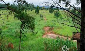 Imagem 5: ÁREA À VENDA NO PINHAL EM CABREÚVA - 31.110 m², com terraplanagem pronta para construir c