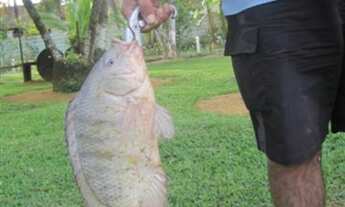 Imagem 4: Chácara próximo de Campos do Jordão