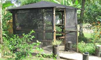 Imagem 6: Chácara próximo de Campos do Jordão