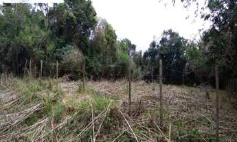 Imagem: TERRENO ESCRITURADO, SEM ÁRVORES NO JARAGUÁ