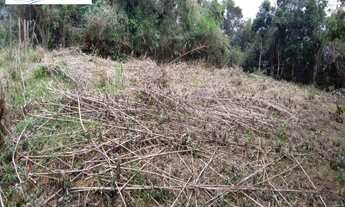 Imagem 2: TERRENO ESCRITURADO, SEM ÁRVORES NO JARAGUÁ, SÃO SEBASTIÃO/SP
