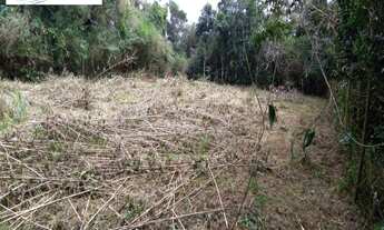 Imagem 3: TERRENO ESCRITURADO, SEM ÁRVORES NO JARAGUÁ, SÃO SEBASTIÃO/SP