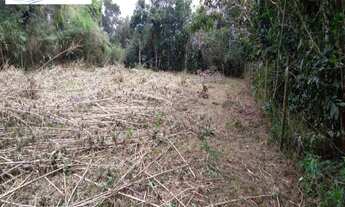 Imagem 4: TERRENO ESCRITURADO, SEM ÁRVORES NO JARAGUÁ, SÃO SEBASTIÃO/SP