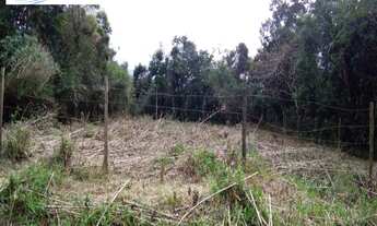 Imagem 5: TERRENO ESCRITURADO, SEM ÁRVORES NO JARAGUÁ, SÃO SEBASTIÃO/SP