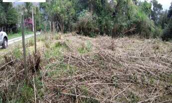 Imagem 6: TERRENO ESCRITURADO, SEM ÁRVORES NO JARAGUÁ, SÃO SEBASTIÃO/SP