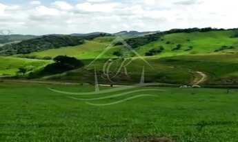 Imagem 4: CHÁCARA COM 20 MIL M² COM ESCRITURA DEFINITIVA RODOVIA DOS TAMOIOS, JAMBEIRO/SP