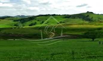 Imagem 6: CHÁCARA COM 20 MIL M² COM ESCRITURA DEFINITIVA RODOVIA DOS TAMOIOS, JAMBEIRO/SP