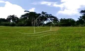 Imagem 2: CHÁCARA COM 20 MIL M² COM ESCRITURA DEFINITIVA RODOVIA DOS TAMOIOS, JAMBEIRO/SP