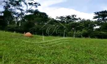 Imagem: CHÁCARA COM 20 MIL M² COM ESCRITURA DEFINITIVA