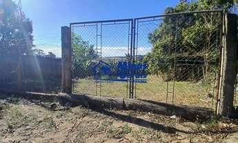 Imagem: Chácara 1000m² Plano Rua Tranquila e Arborizada