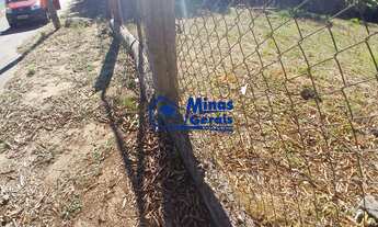 Imagem 4: Chácara 1000m² Plano Rua Tranquila e Arborizada - Fácil Acesso