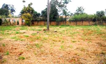 Imagem: TERRENO COMERCIAL em ARARAQUARA - SP, JARDIM