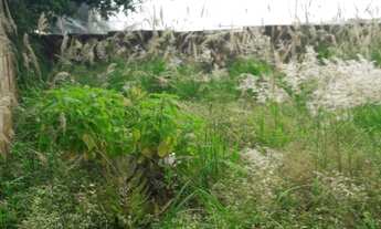 Imagem 7: CASA RESIDENCIAL em ARARAQUARA - SP, JARDIM ÁRTICO