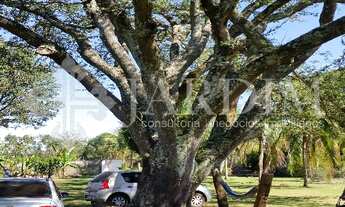 Imagem 3: CHACARA Chácara com 3 dormitórios