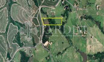 Imagem: ÁREA - BAIRRO VOLTA GRANDE ( SERROTE )