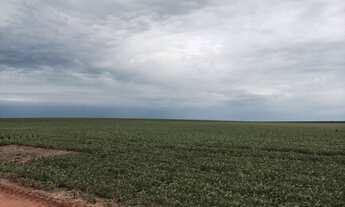 Imagem: FAZENDA RURAL em Primavera do Leste - MT