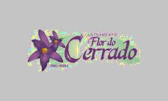 Imagem: Na Rua Das Copaíbas