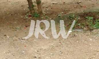 Imagem 6: CASA ( EDICULA ) , INDAIATUBA SP