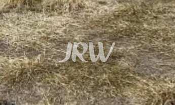 Imagem 2: Excelente Terreno Comercial à venda no Bairro Monte Castelo (D.I.N) - Indaiatuba/SP