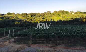 Imagem 3: Chacara com 23.000 metros na cidade de Elias Fausto SP