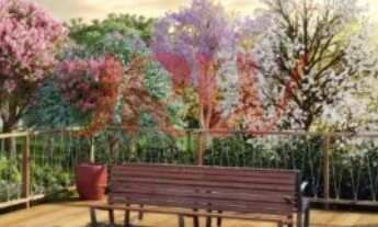 Imagem 6: Bairro de Cardeal - Elias Fausto, divisa com Indaiatuba/SP