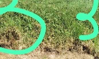 Imagem 2: TERRENO RESIDENCIAL em JUNDIAÍ - SP, CHÁCARA RECREIO LAGOA DOS PATOS