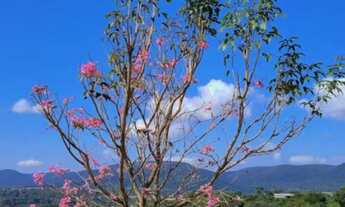 Imagem: TERRENO A VENDA NO CONDOMÍNIO FECHADO TERRAS