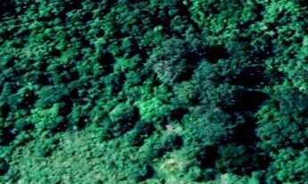 Imagem 5: ÁREA RURAL/URBANA À VENDA COM 80.400m² - ITUPEVA - SP