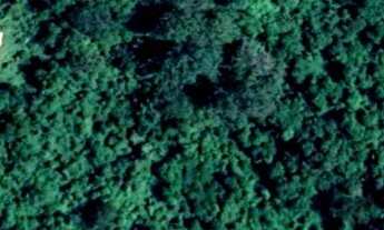 Imagem 7: ÁREA RURAL/URBANA À VENDA COM 80.400m² - ITUPEVA - SP