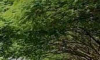 Imagem 3: TERRENO A VENDA EM JUNDIAÍ NO LOTEAMENTO FECHADO TERRA CAXAMBU II